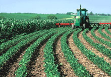 Farm equipment tending precisely contoured rows of crops