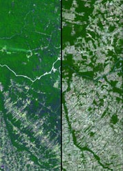 Satellite imagery (Credit: NASA/GSFC/METI/ERSDAC/JAROS and U.S./Japan ASTER Science Team)