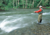 Un hombre pesca en un río