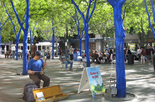 Musician in town square with blue trees