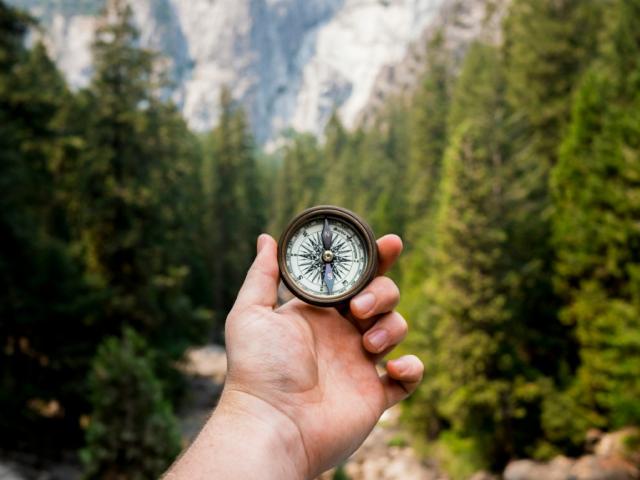 Jamie Street (Unsplash)